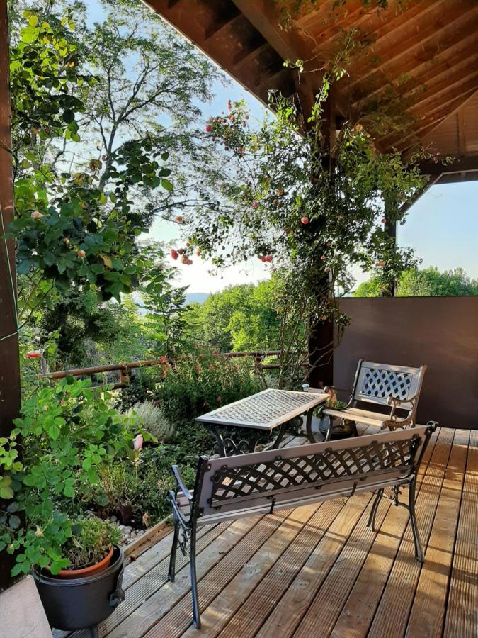 Le Grand Noyer Bed & Breakfast Ambronay Luaran gambar